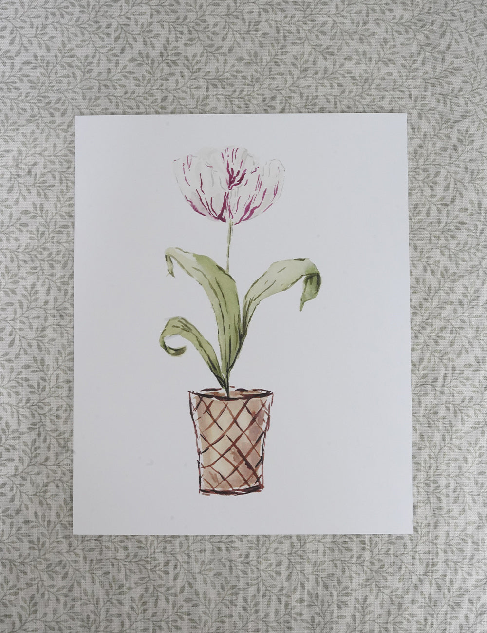 Art Print Tulip