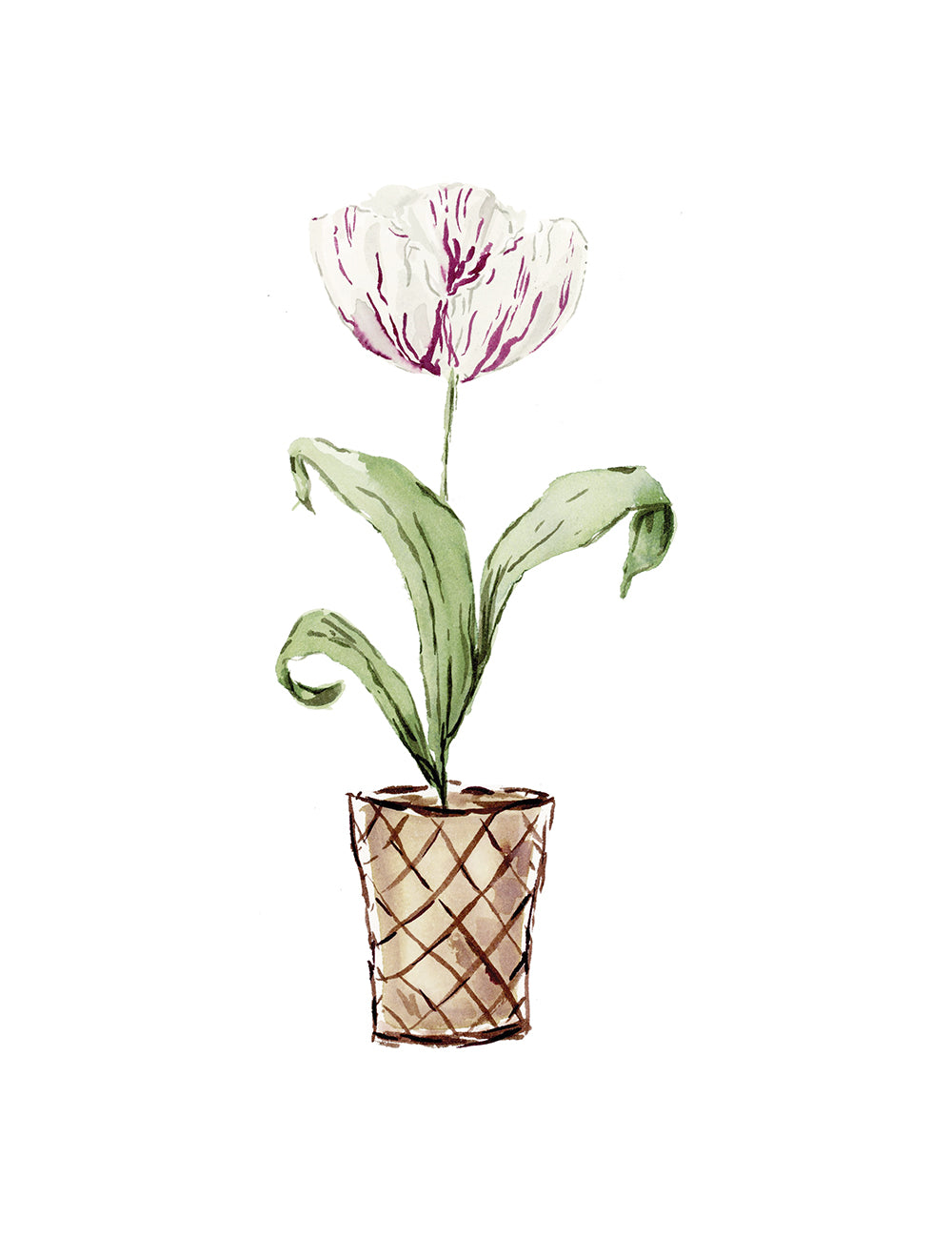 4-artprint-tulip-2.jpg