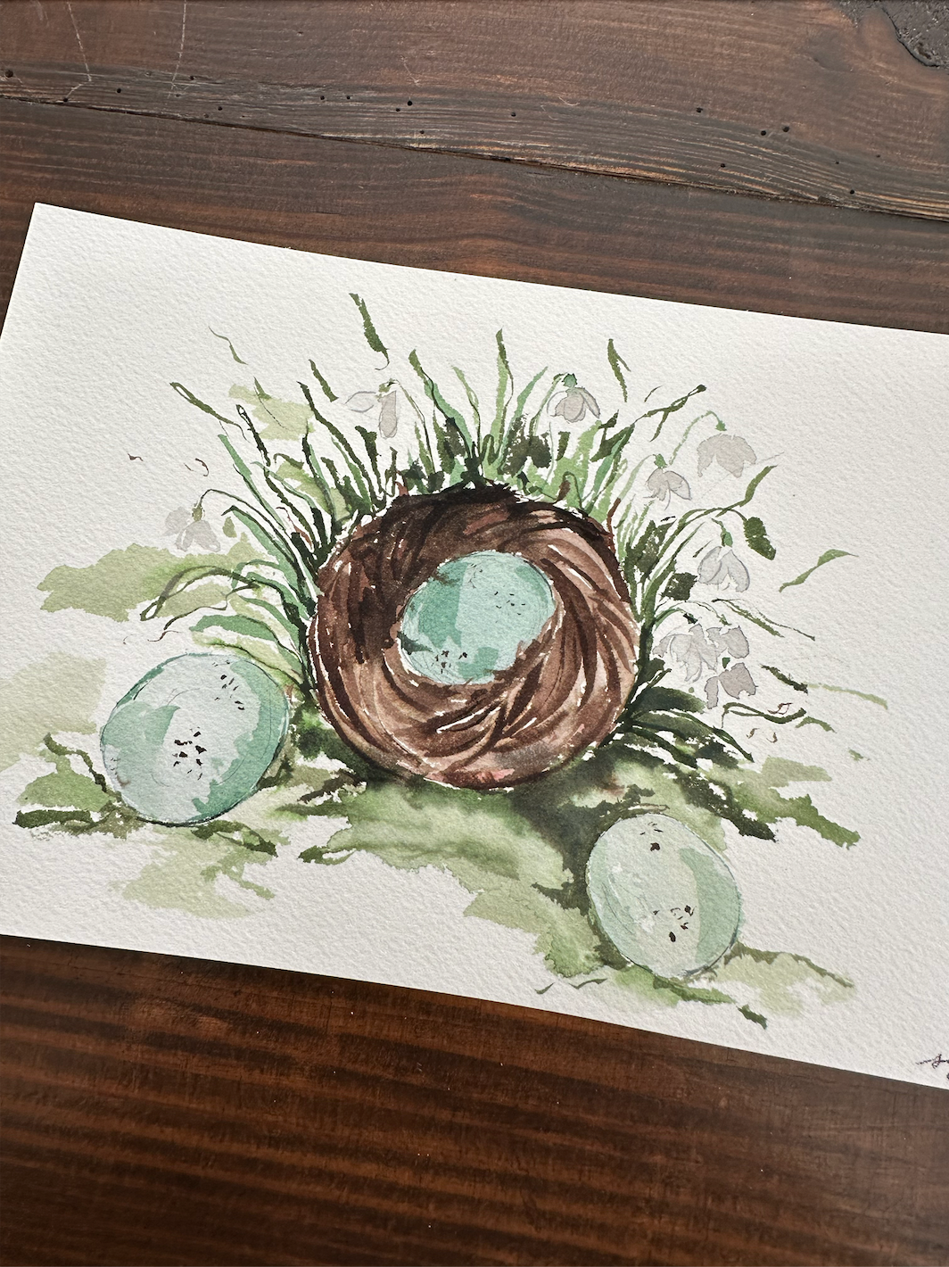 Original Robin's Eggs